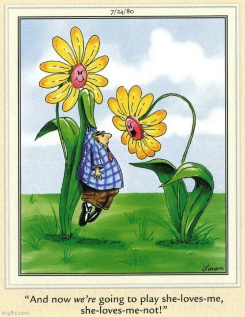 That’s going to be messy… | image tagged in the far side,comics,sunflowers,she loves me,she loves me not,revenge | made w/ Imgflip meme maker