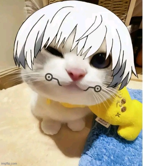 tuna mayo | made w/ Imgflip meme maker