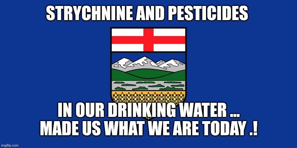 Canadian politics | image tagged in political meme | made w/ Imgflip meme maker