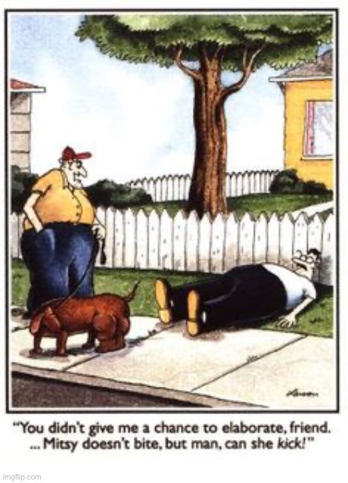 Like a mini mule… | image tagged in the far side,comics,dog,doesnt bite,kicks,strong | made w/ Imgflip meme maker