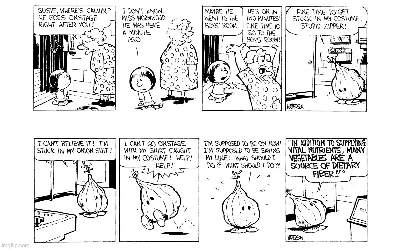 image tagged in calvin and hobbes,comics | made w/ Imgflip meme maker