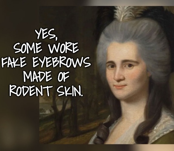 Bad social influencers of the 18th century | YES, SOME WORE FAKE EYEBROWS MADE OF
RODENT SKIN. | image tagged in how disgusting,they paid good money for that,wish i could make money from dead rodents | made w/ Imgflip meme maker