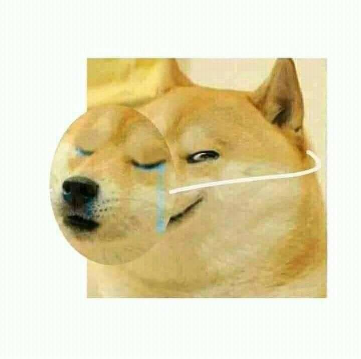 dog wearing mask pretending To sad Blank Meme Template