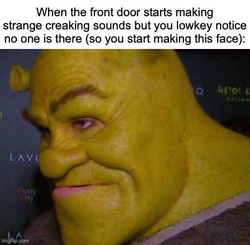 shrek cringe | When the front door starts making strange creaking sounds but you lowkey notice no one is there (so you start making this face): | image tagged in shrek cringe,memes,suspicious,relatable memes,so true memes | made w/ Imgflip meme maker