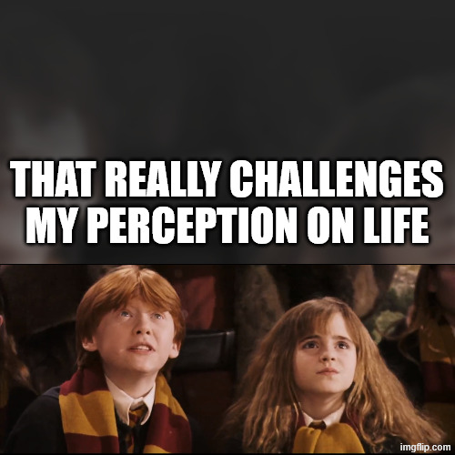 Hermione and Ron perspective (Harry Potter) | THAT REALLY CHALLENGES MY PERCEPTION ON LIFE | image tagged in hermione and ron perspective harry potter | made w/ Imgflip meme maker