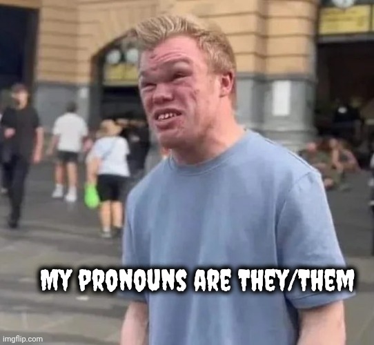 My pronouns are They/Them | made w/ Imgflip meme maker