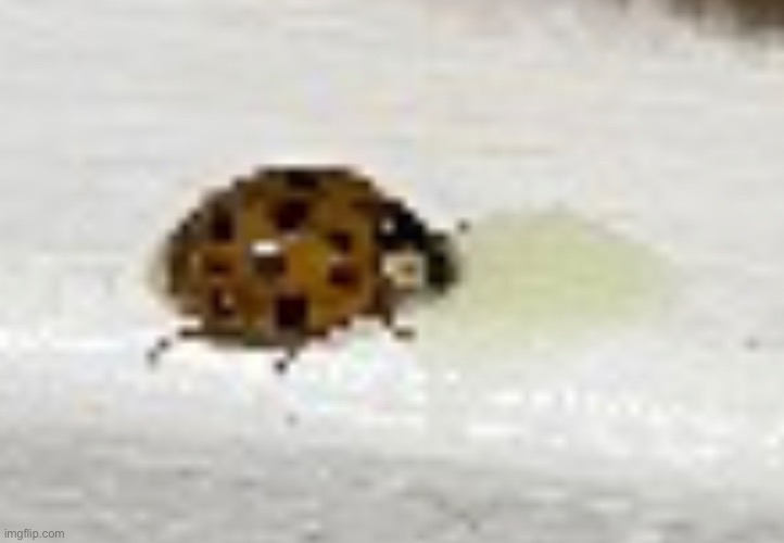 Fat little chud drinking juice | made w/ Imgflip meme maker