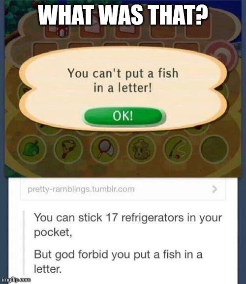 Help! | WHAT WAS THAT? | image tagged in shitpost,animal crossing,funny,memes | made w/ Imgflip meme maker