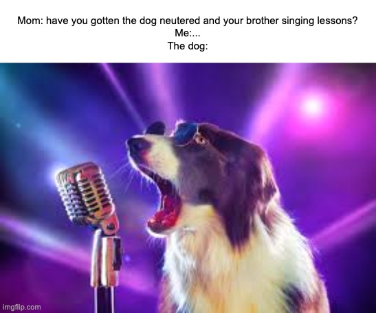 Oh well, at least I know who's a good singing boy! | Mom: have you gotten the dog neutered and your brother singing lessons?
Me:...
The dog: | image tagged in memes,funny,dog became bruno mars,little timmy has his bloodline ruined,screw-ups,darn shouldve paid attention | made w/ Imgflip meme maker