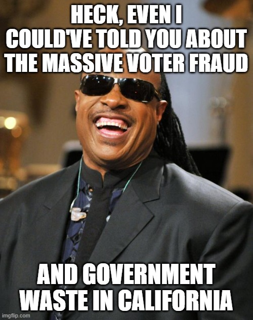 Stevie Wonder | HECK, EVEN I COULD'VE TOLD YOU ABOUT THE MASSIVE VOTER FRAUD AND GOVERNMENT WASTE IN CALIFORNIA | image tagged in stevie wonder | made w/ Imgflip meme maker