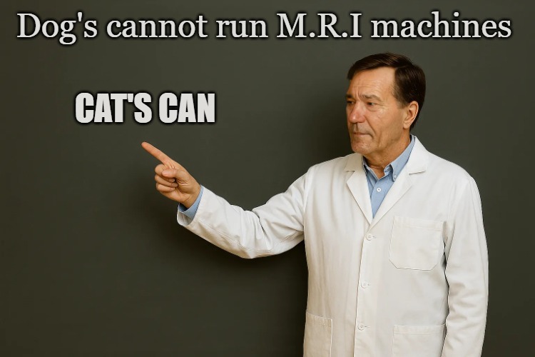 Dad joke | Dog's cannot run M.R.I machines; CAT'S CAN | image tagged in lou,dad joke | made w/ Imgflip meme maker