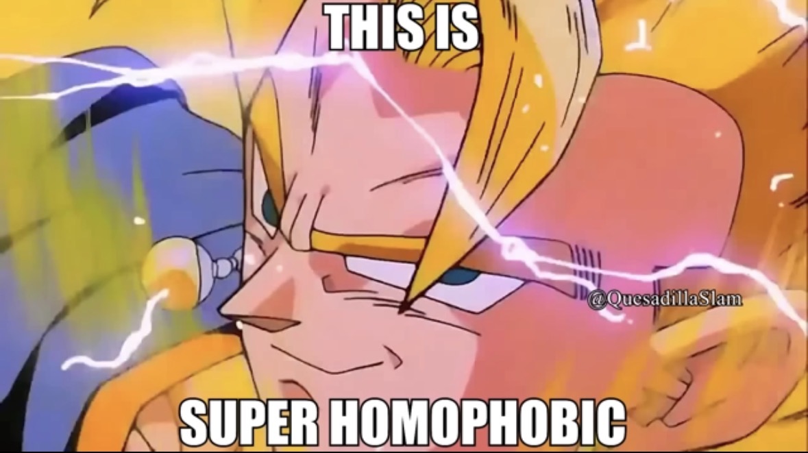 This is super homophobic Blank Meme Template