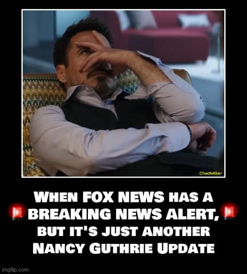 A distraction from the billions stolen in the Minnesota welfare fraud scandal | image tagged in nancy guthrie,breaking news,politics,missing person | made w/ Imgflip meme maker