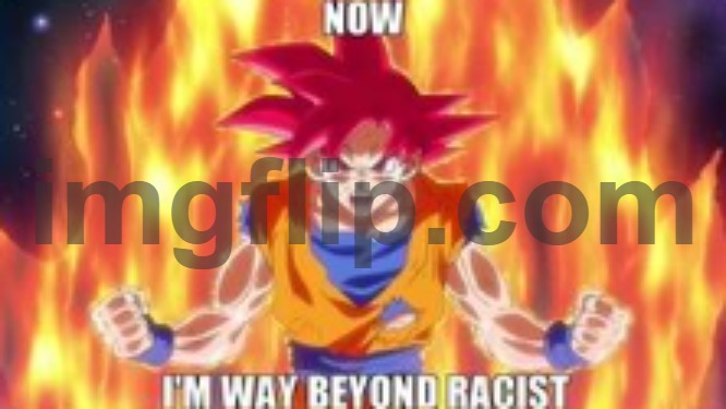 i am a parrot 2.0 | image tagged in now im way beyond racist | made w/ Imgflip meme maker