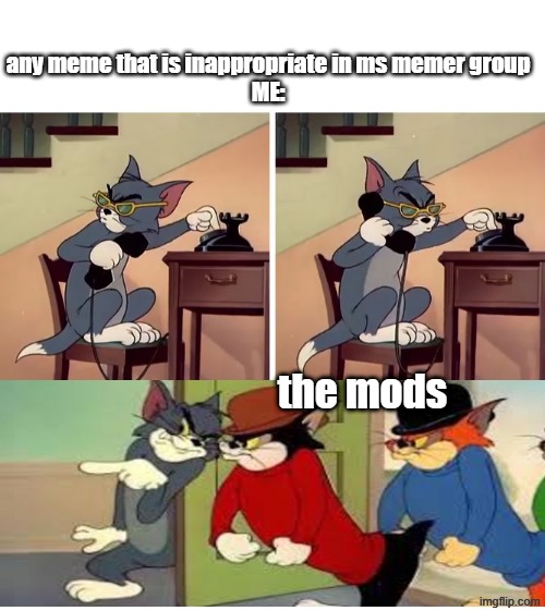 nobody likes this in ms memer group | any meme that is inappropriate in ms memer group
ME:; the mods | image tagged in tom and jerry snitch,i do this | made w/ Imgflip meme maker