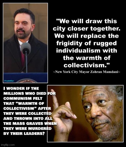 Democrats are enemies of the United States and those American's who prefer their freedom and rugged individualism! | image tagged in zohran mamdani,government corruption,politics,democrats | made w/ Imgflip meme maker