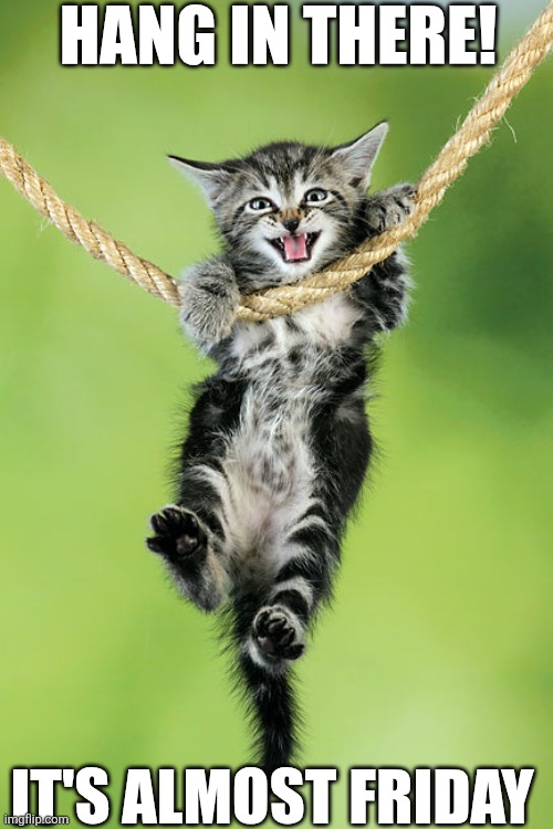 Hang In There | HANG IN THERE! IT'S ALMOST FRIDAY | image tagged in chrisjoines1 | made w/ Imgflip meme maker