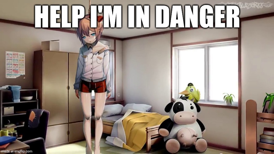 Help me(explanation in the comments) | HELP I'M IN DANGER | image tagged in sayori hanging doki doki | made w/ Imgflip meme maker