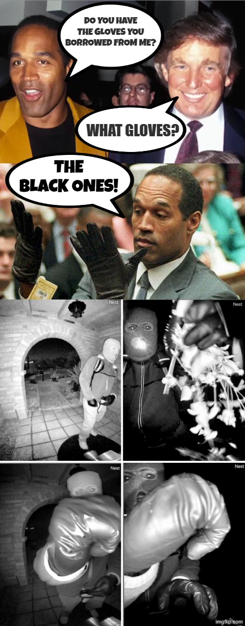 THE BLACK ONES! | DO YOU HAVE THE GLOVES YOU BORROWED FROM ME? WHAT GLOVES? THE BLACK ONES! | image tagged in trump,oj simpson,oj simpson smiling,oj simpson police chase,jeffrey epstein,epstein | made w/ Imgflip meme maker