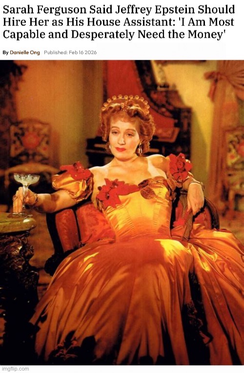 Malcontented Madam CV | image tagged in no bar too low | made w/ Imgflip meme maker