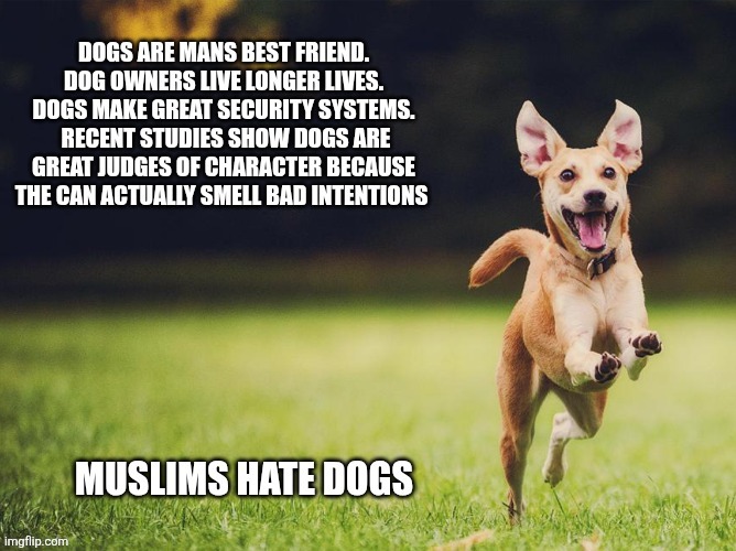 image tagged in funny memes | made w/ Imgflip meme maker