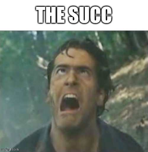 THE SUCC | made w/ Imgflip meme maker