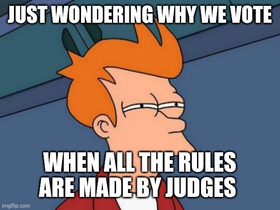 Futurama Fry Meme | JUST WONDERING WHY WE VOTE; WHEN ALL THE RULES ARE MADE BY JUDGES | image tagged in memes,futurama fry | made w/ Imgflip meme maker