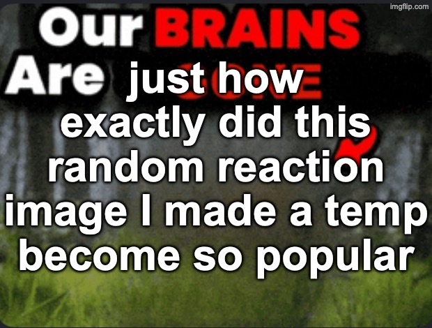 Our brains are GONE | just how exactly did this random reaction image I made a temp become so popular | image tagged in our brains are gone | made w/ Imgflip meme maker