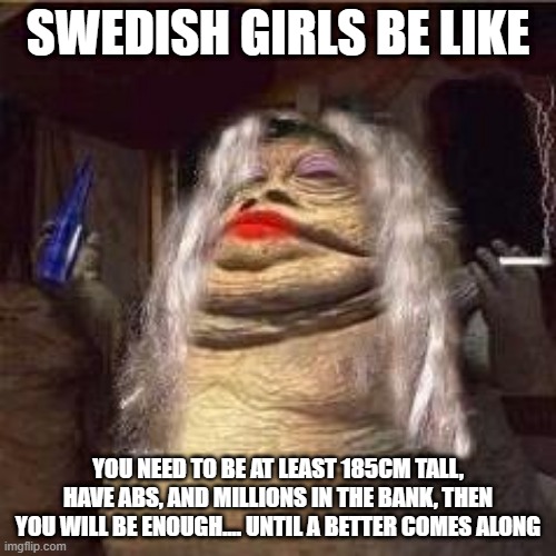 swedish girls be like | SWEDISH GIRLS BE LIKE; YOU NEED TO BE AT LEAST 185CM TALL, HAVE ABS, AND MILLIONS IN THE BANK, THEN YOU WILL BE ENOUGH.... UNTIL A BETTER COMES ALONG | image tagged in swedish,girls,typical,women | made w/ Imgflip meme maker