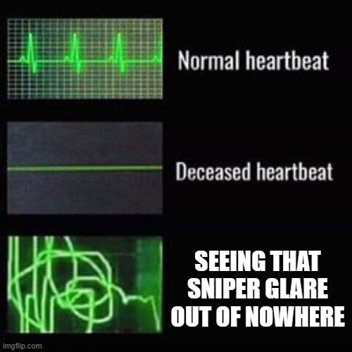 Sniper glares are scary | SEEING THAT SNIPER GLARE OUT OF NOWHERE | image tagged in heartbeat rate | made w/ Imgflip meme maker