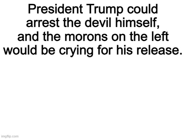 Trump Derangment Syndrome is real | President Trump could arrest the devil himself, and the morons on the left would be crying for his release. | image tagged in memes,funny,politics,democrats,political meme,trump | made w/ Imgflip meme maker