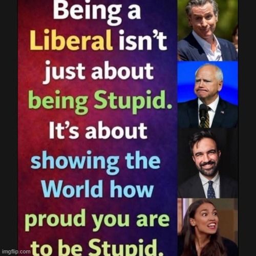 True | image tagged in memes,funny,liberals,politics,political meme | made w/ Imgflip meme maker