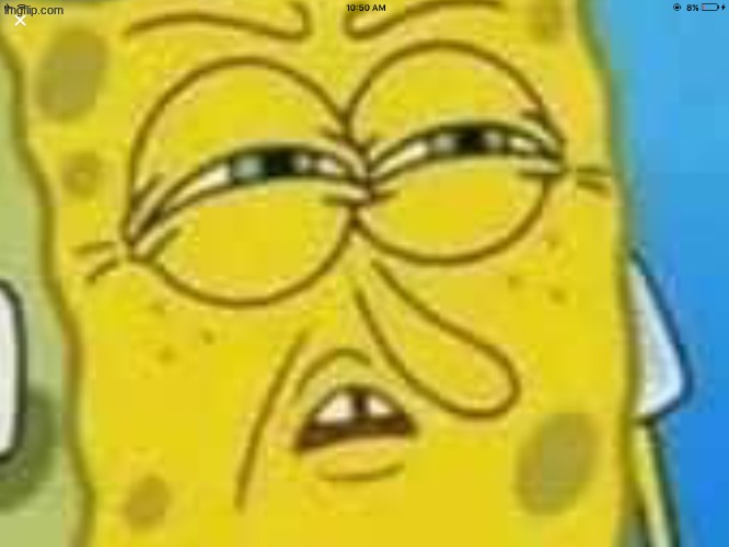 SpongeBob Angry and Confused | image tagged in spongebob angry and confused | made w/ Imgflip meme maker