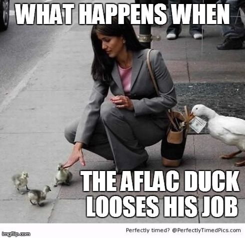 The Duck Thief | WHAT HAPPENS WHEN THE AFLAC DUCK LOOSES HIS JOB | image tagged in memes,ducks,ducktheif,pickpocket | made w/ Imgflip meme maker
