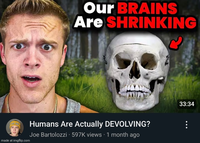 Our Brains Are Shrinking | image tagged in our brains are shrinking | made w/ Imgflip meme maker