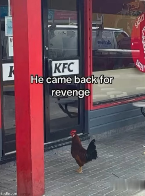 normal | made w/ Imgflip meme maker