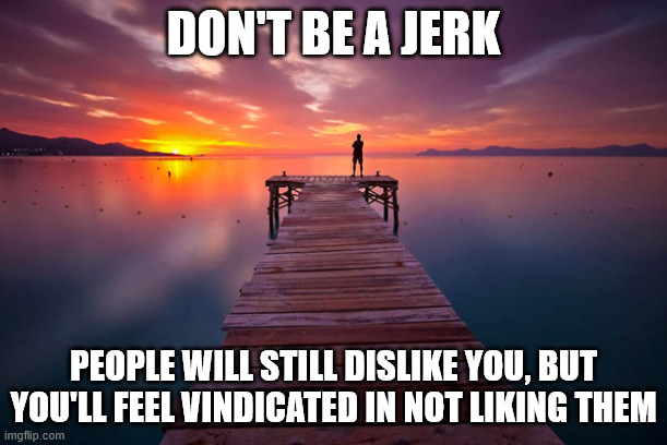 Inspirational | DON'T BE A JERK; PEOPLE WILL STILL DISLIKE YOU, BUT YOU'LL FEEL VINDICATED IN NOT LIKING THEM | image tagged in inspirational | made w/ Imgflip meme maker