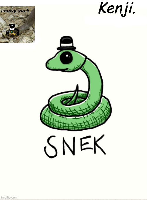 hello (mod note: hi alo did you draw this?) | image tagged in snek | made w/ Imgflip meme maker