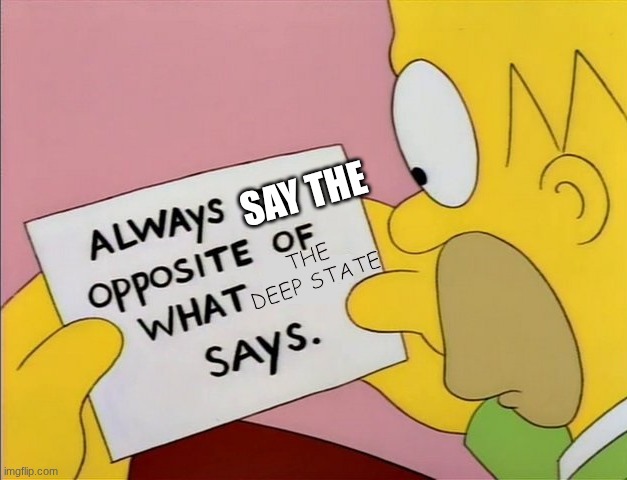 Say the opposite of what the Deep state globalist transcel lunatics says | SAY THE; THE DEEP STATE | image tagged in always do opposite of what x says | made w/ Imgflip meme maker