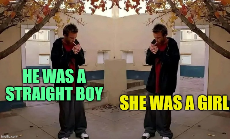 . | HE WAS A STRAIGHT BOY; SHE WAS A GIRL | made w/ Imgflip meme maker