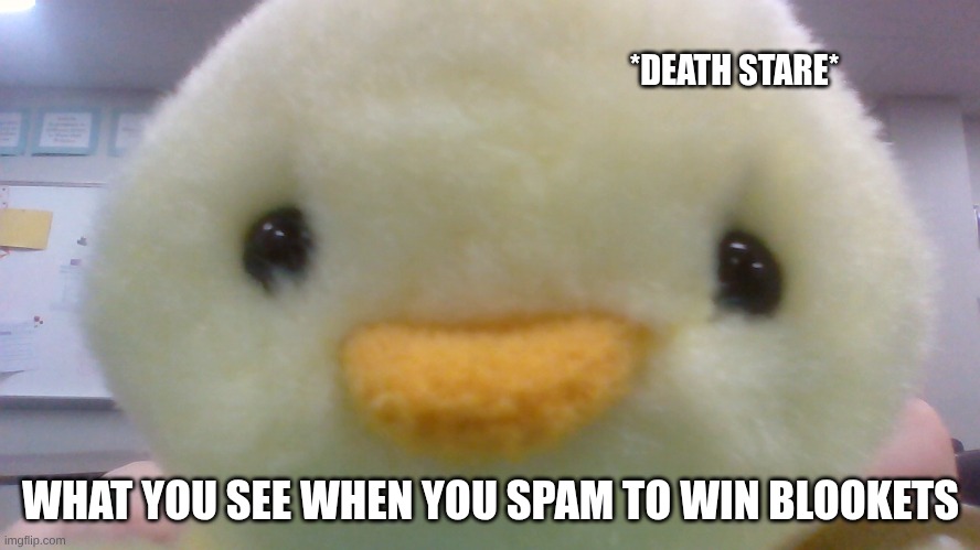 The Tuffest Joke Ever | *DEATH STARE*; WHAT YOU SEE WHEN YOU SPAM TO WIN BLOOKETS | image tagged in stare | made w/ Imgflip meme maker