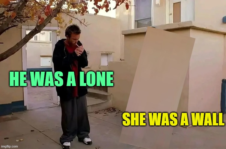 . | HE WAS A LONE; SHE WAS A WALL | image tagged in he was a boy she was a girl | made w/ Imgflip meme maker