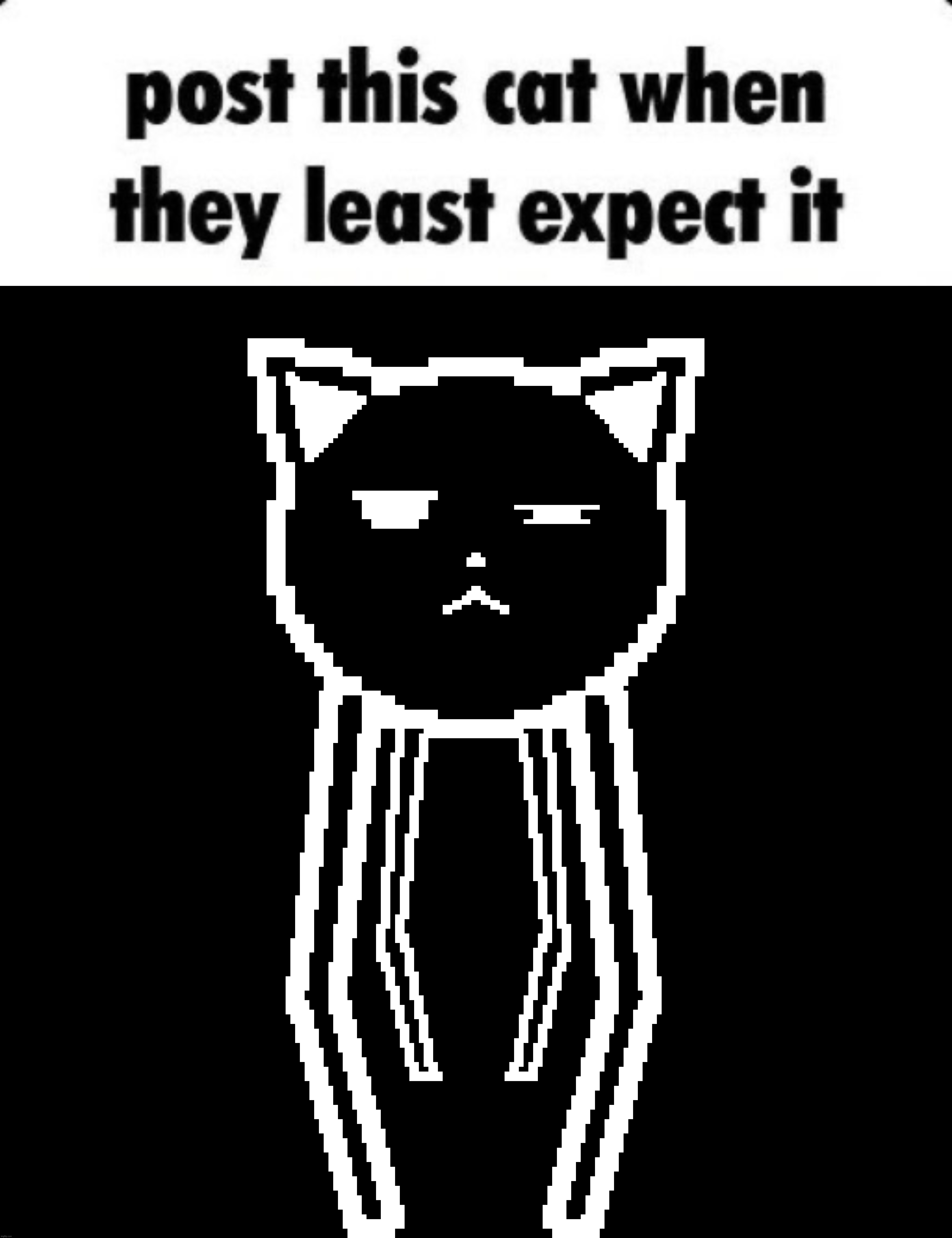 image tagged in post this cat when they least expect it cropped | made w/ Imgflip meme maker