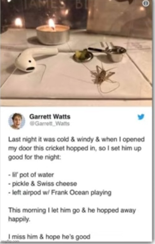 image tagged in cold,cricket,night,food,water,frank ocean | made w/ Imgflip meme maker