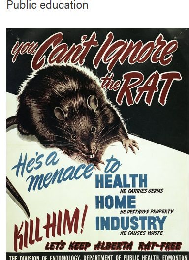 Rat Propaganda Blank Meme Template