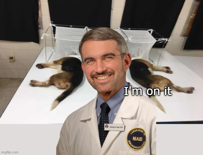 I'm on it | made w/ Imgflip meme maker