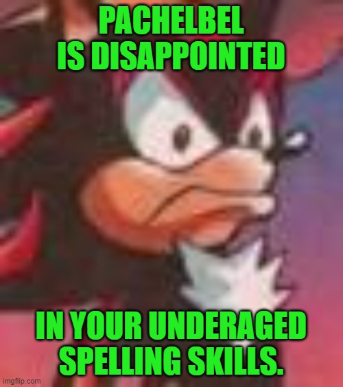 Shadow the Hedgehog | PACHELBEL IS DISAPPOINTED IN YOUR UNDERAGED SPELLING SKILLS. | image tagged in shadow the hedgehog | made w/ Imgflip meme maker