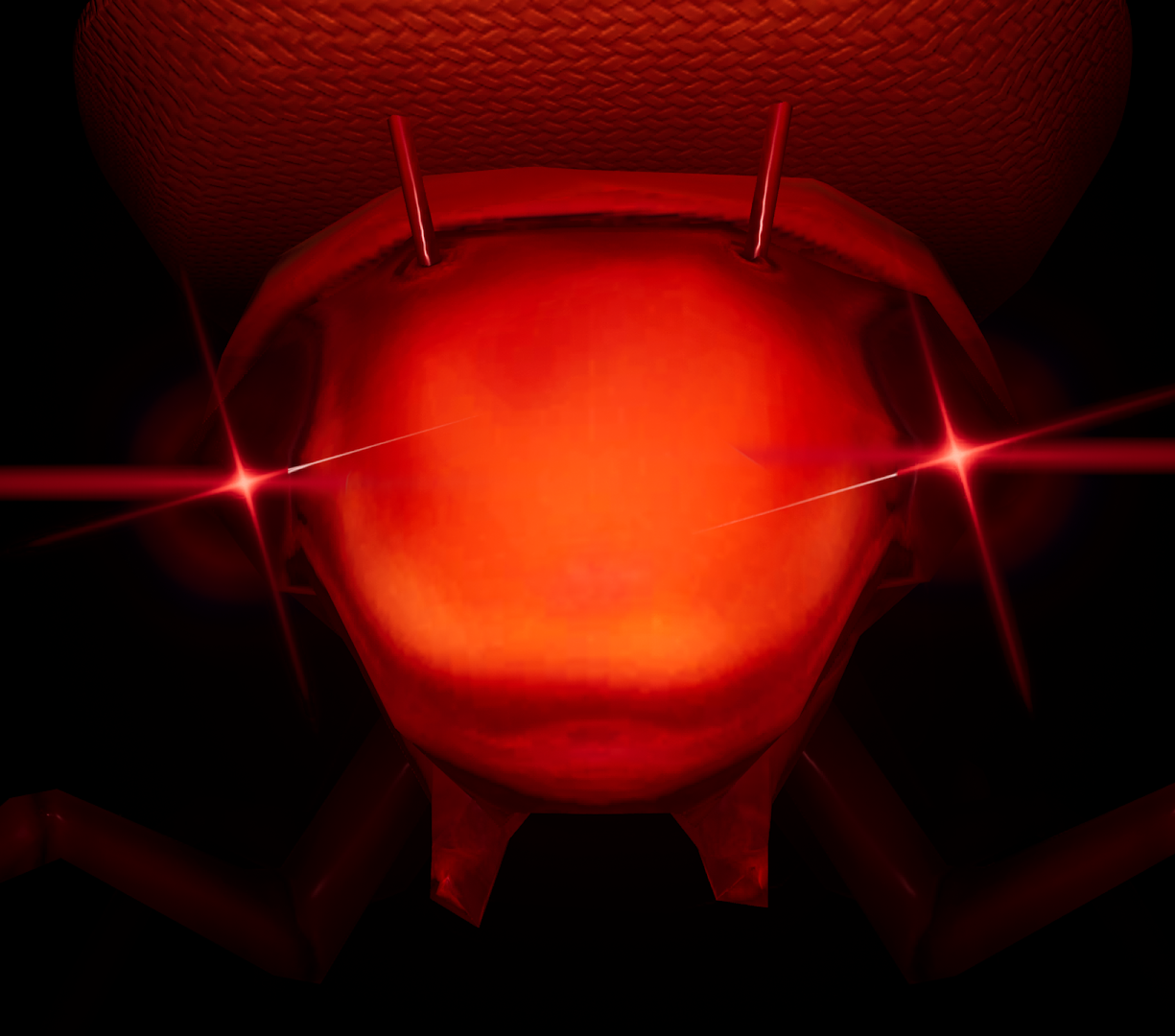 Jeff the Roach Blank Meme Template