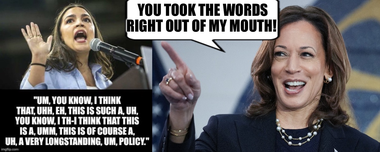 You Go Girl! | YOU TOOK THE WORDS RIGHT OUT OF MY MOUTH! | image tagged in aoc word salad,aoc,kamala harris,incompetence | made w/ Imgflip meme maker