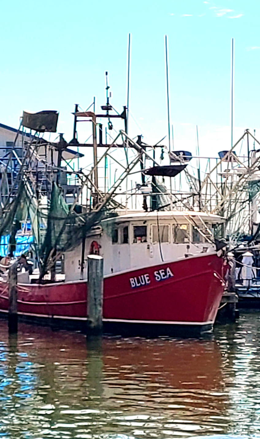 Shrimp Boat Blank Meme Template